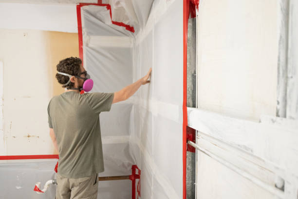 Best Residential Mold Inspection & Testing  in Northvale, NJ