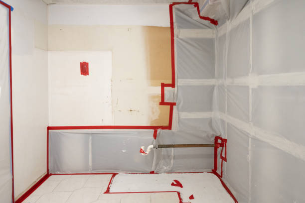 Best Black Mold Removal  in Northvale, NJ