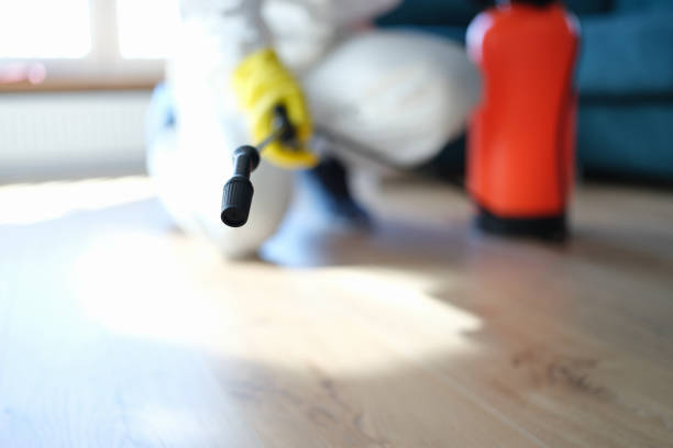 Best Post-Construction Mold Inspection  in Northvale, NJ