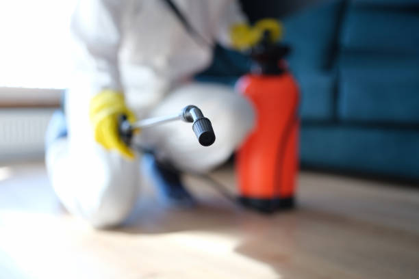 Best Environmental Consulting for Mold Prevention  in Northvale, NJ